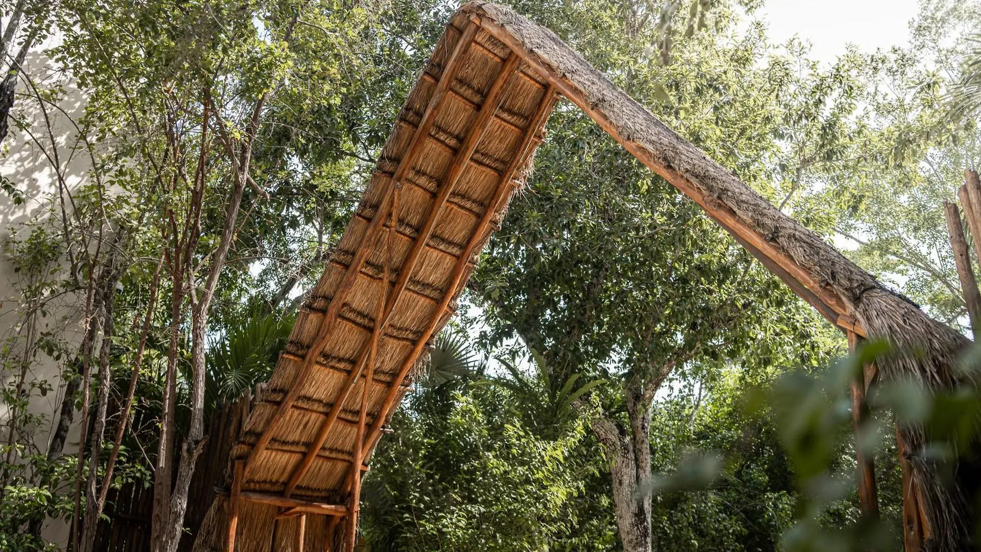 Jungle Resort Suite With Private Pool Near Tulum Balcheil Appartamento